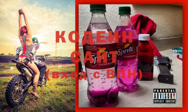 шишки Балахна