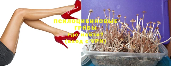 шишки Балахна