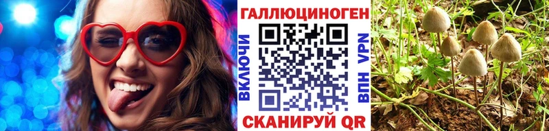 Псилоцибиновые грибы мицелий blacksprut зеркало Лакинск закладки